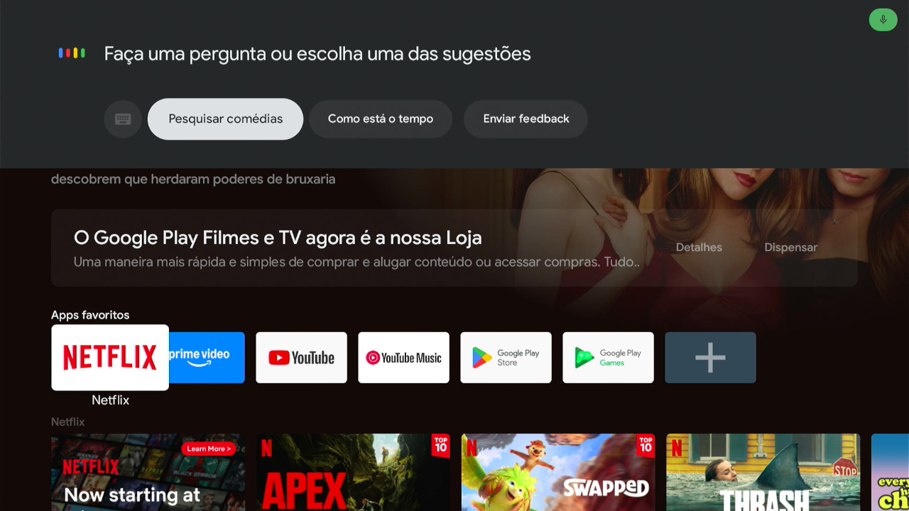 Tela assistente google