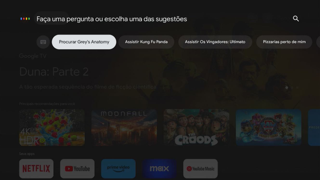 Tela assistente google
